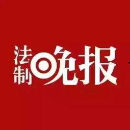 纳雍新闻爆料网站最新,揭秘最新爆料背后的真相与影响