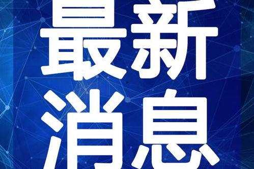 铲子最新爆料图片视频大全,最新爆料！铲子全新图片视频大全大揭秘