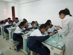 包九中学最新爆料,揭秘校园风云背后的故事